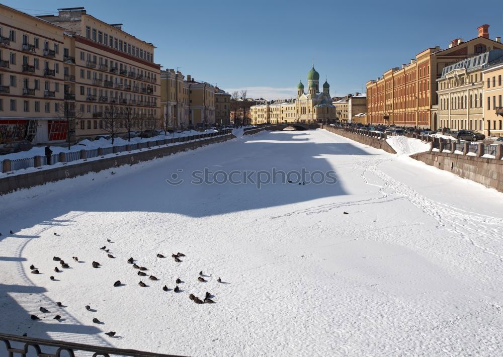 Similar – Image, Stock Photo Panorama in Dresden