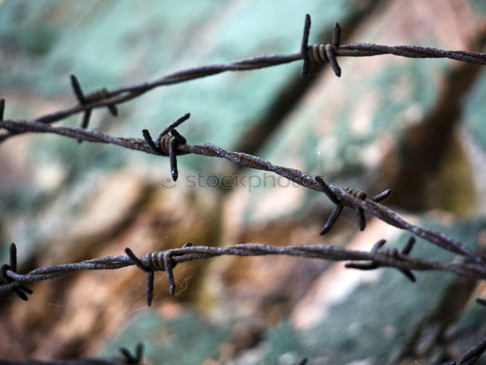 Similar – Image, Stock Photo walk detail Fence