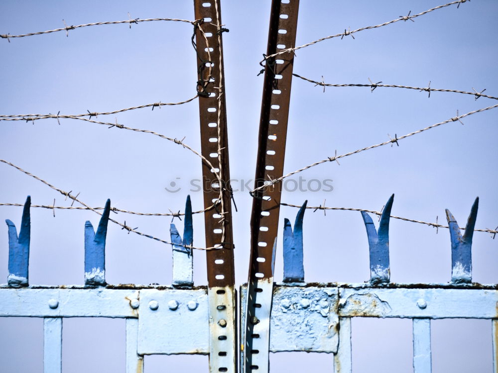 Similar – geometry Barbed wire Fence