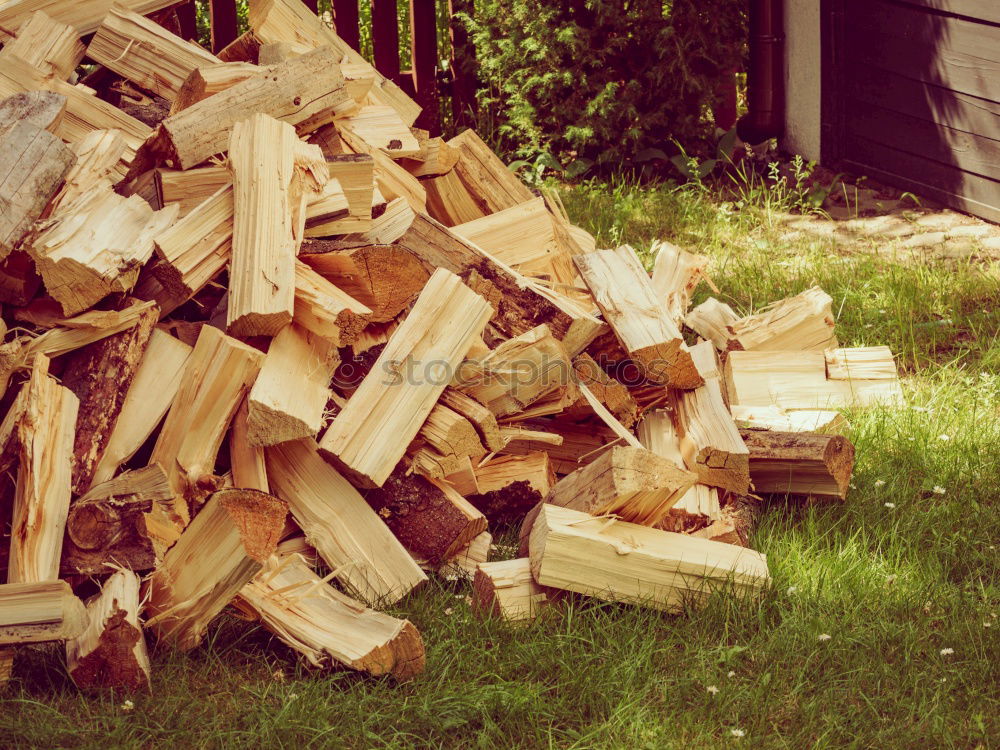 Similar – Image, Stock Photo Wood in front of the hut (II)