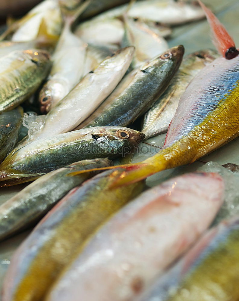 Similar – Image, Stock Photo Death by anglers Fish