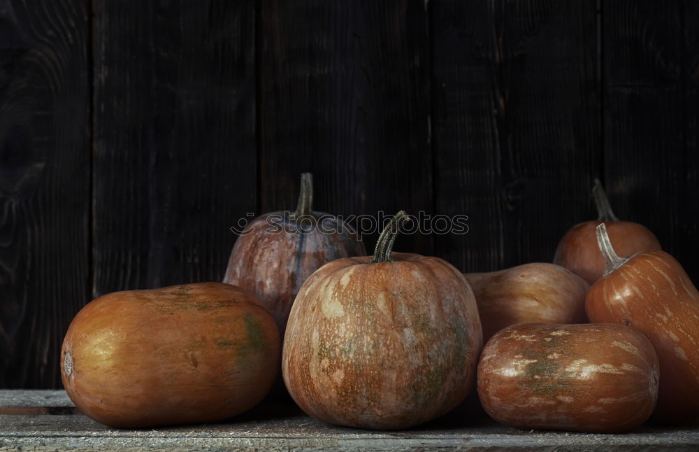 Similar – Image, Stock Photo autumn Food Fruit Apple