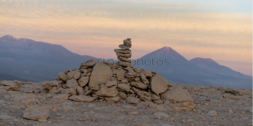 Similar – Image, Stock Photo desert guard Colour photo