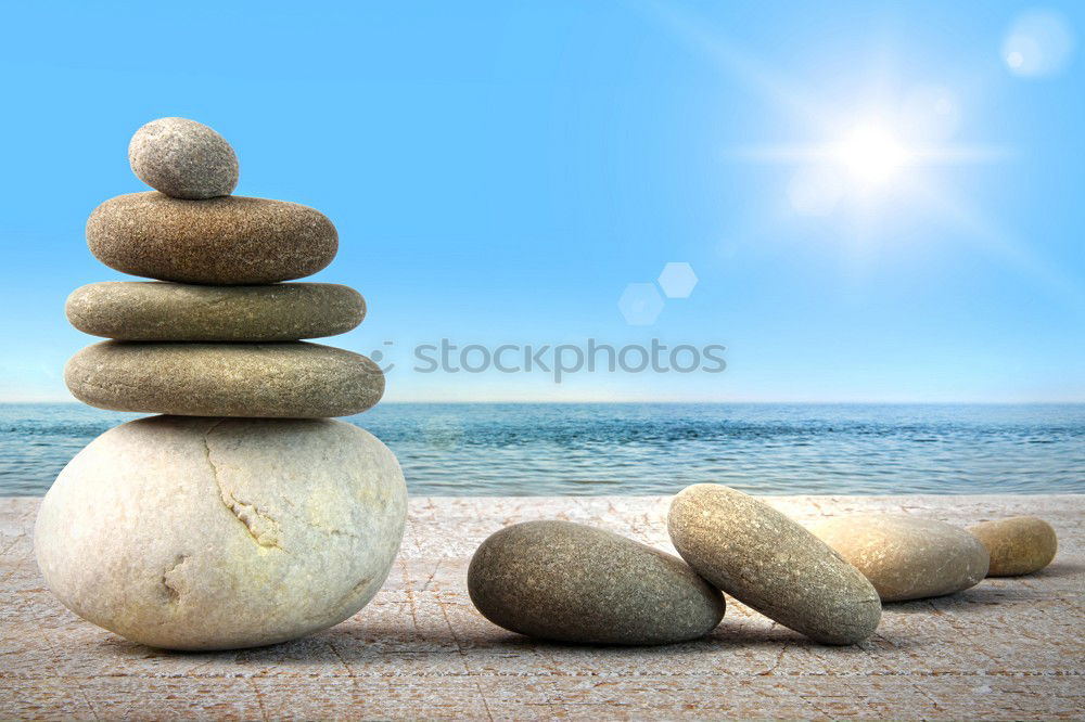 Similar – Image, Stock Photo Mussels on a string in front of sky, sea and sandy beach