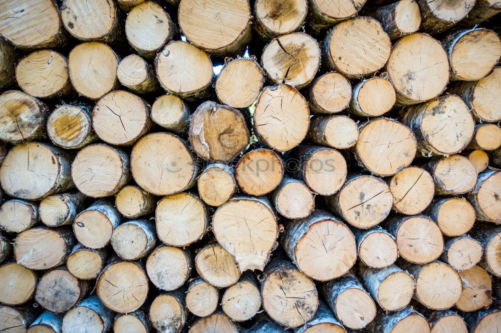 Similar – Wood in front of the hut