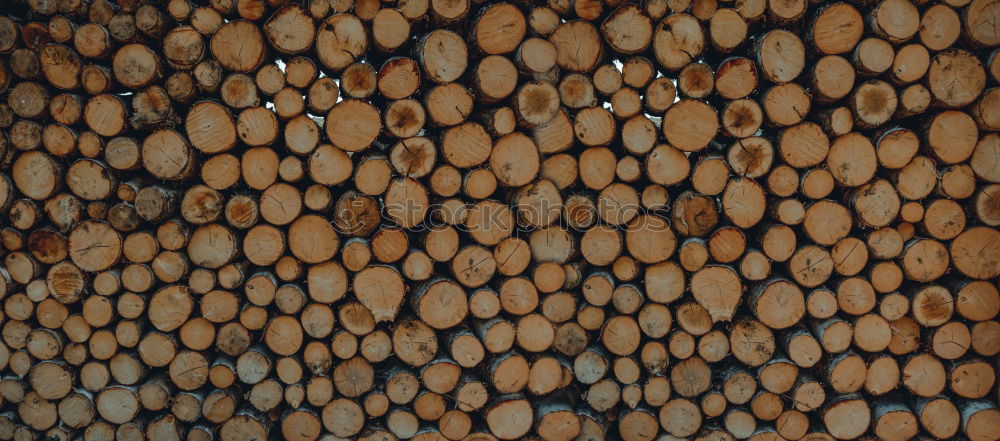 Similar – woodstock Holz Baumstamm