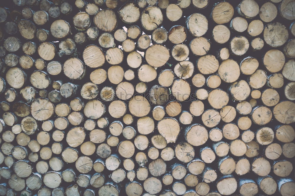 Similar – Image, Stock Photo Wood in front of the hut