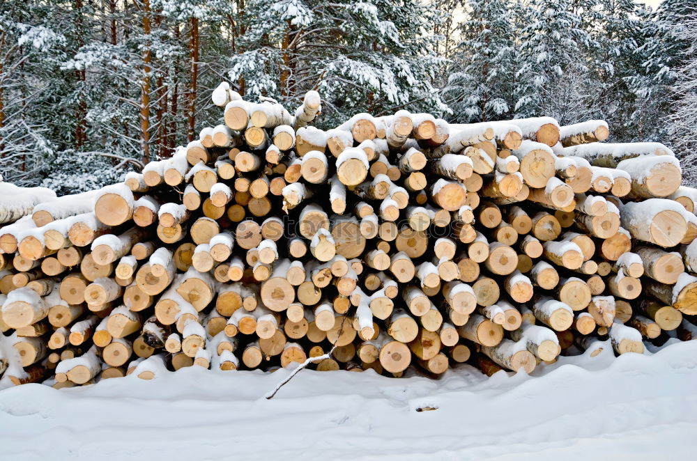 Wärme für den Winter