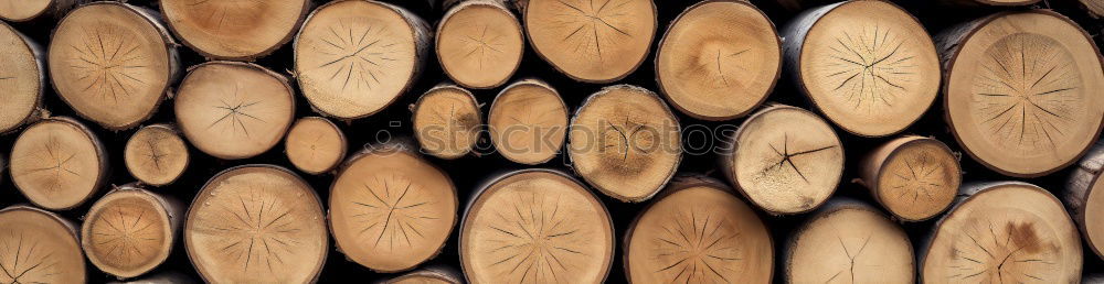 Similar – Image, Stock Photo wood Tree Wood Round