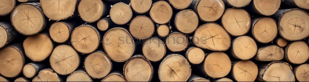 Similar – holzstapel Holz Holzstapel