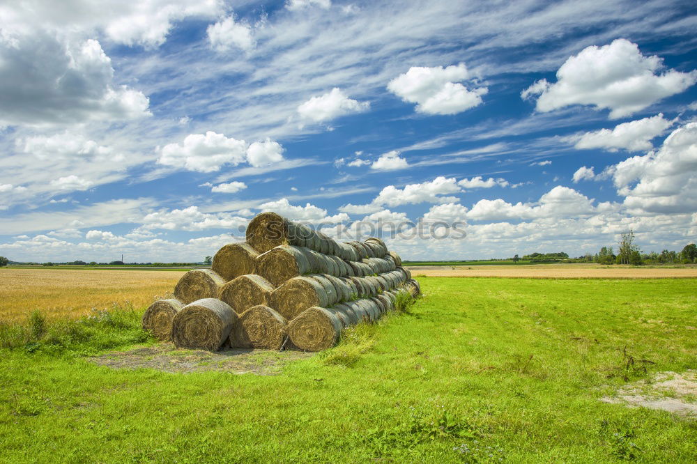 Similar – Herbstfeld Feld Himmel