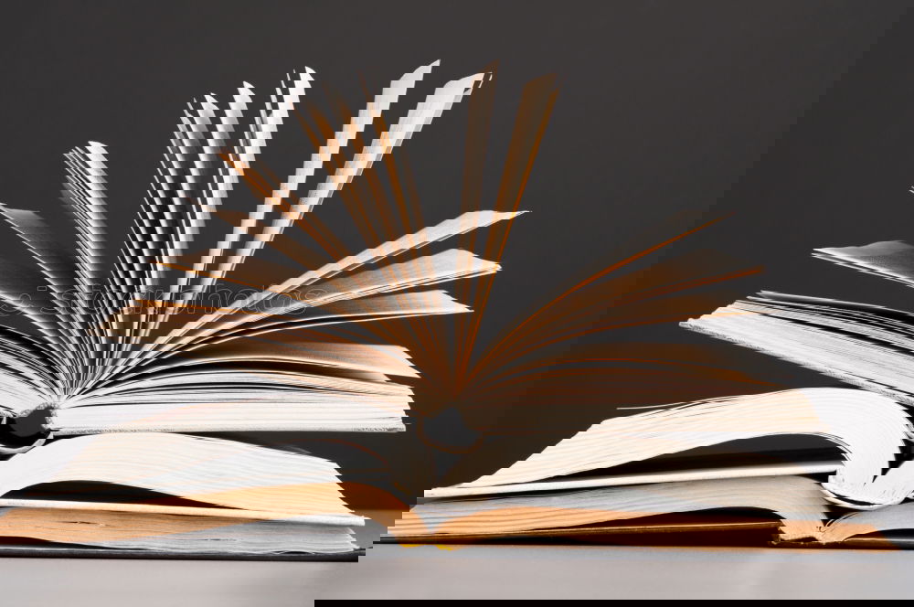 Similar – Image, Stock Photo old books Reading School