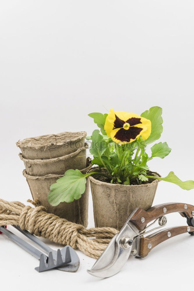 Similar – Image, Stock Photo Garden shovel and potted flowers