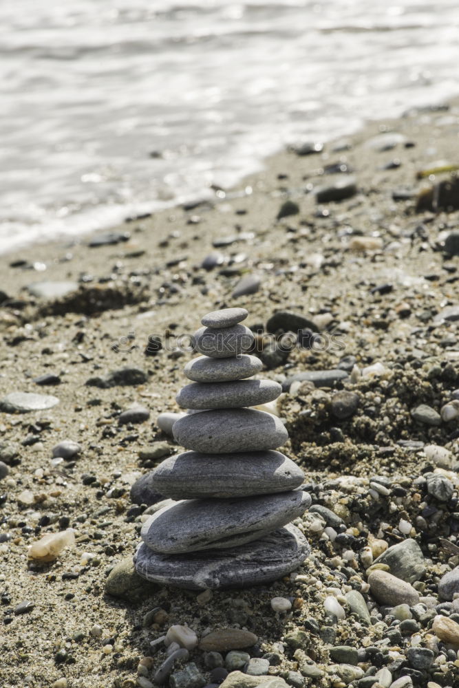 Similar – Foto Bild Pointe de la torche Natur