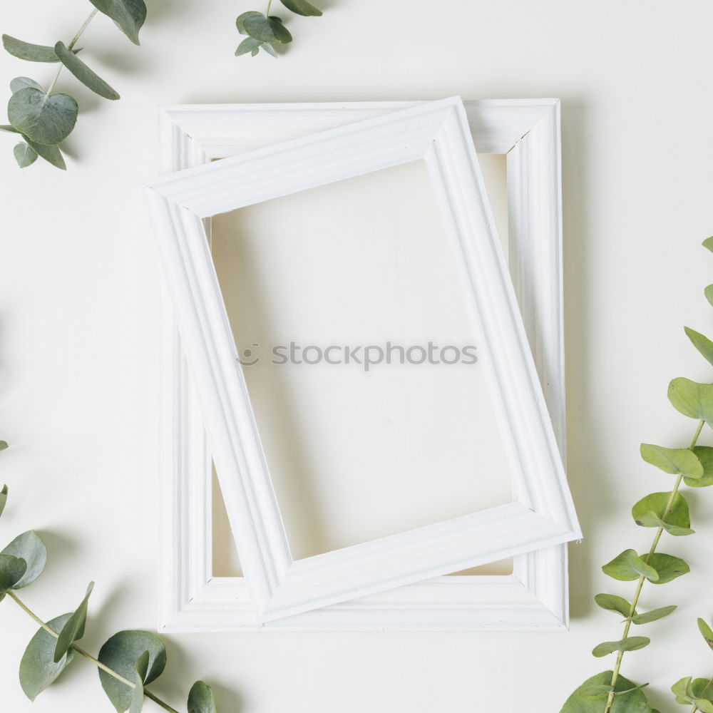 Similar – Eyeglasses and green palm leaves