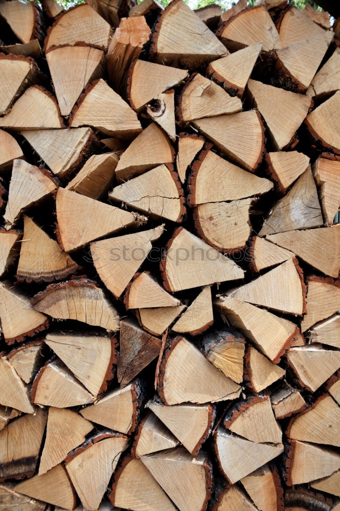 Similar – Foto Bild Nix Baum Abholzung