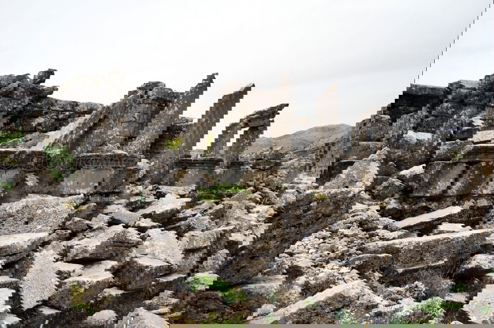 Similar – Foto Bild nachmieter gesucht…
