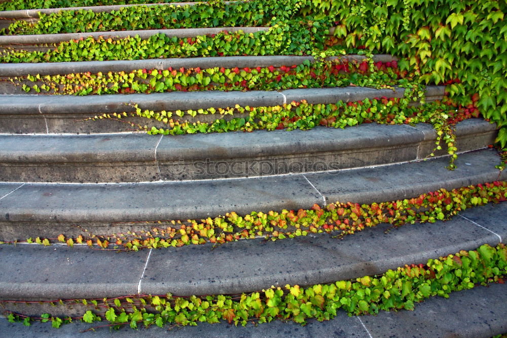 Similar – Foto Bild Zuschauerherbst