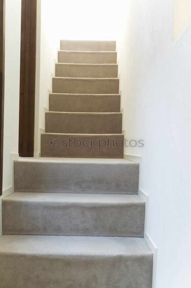 Similar – Image, Stock Photo go Human being 1 Stairs