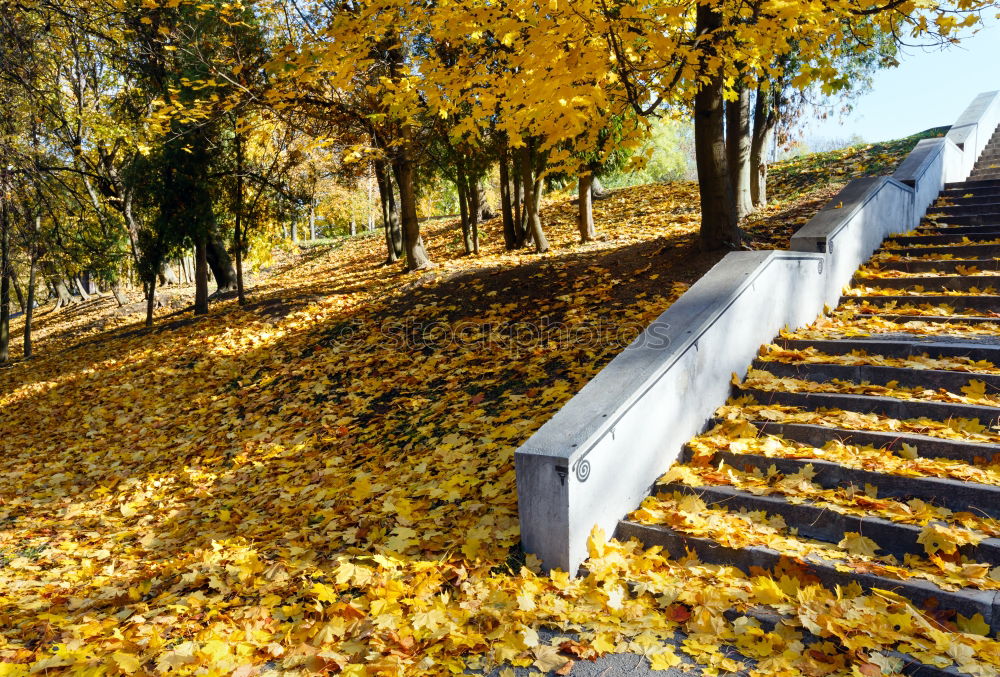 Similar – Image, Stock Photo autumn of spectators