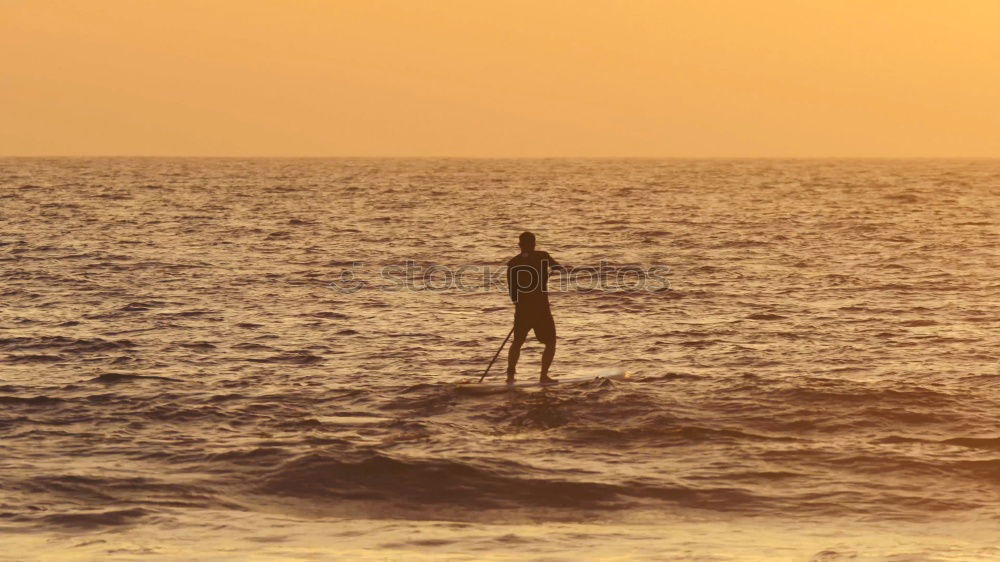 Similar – Image, Stock Photo By the sea Back-light Jump