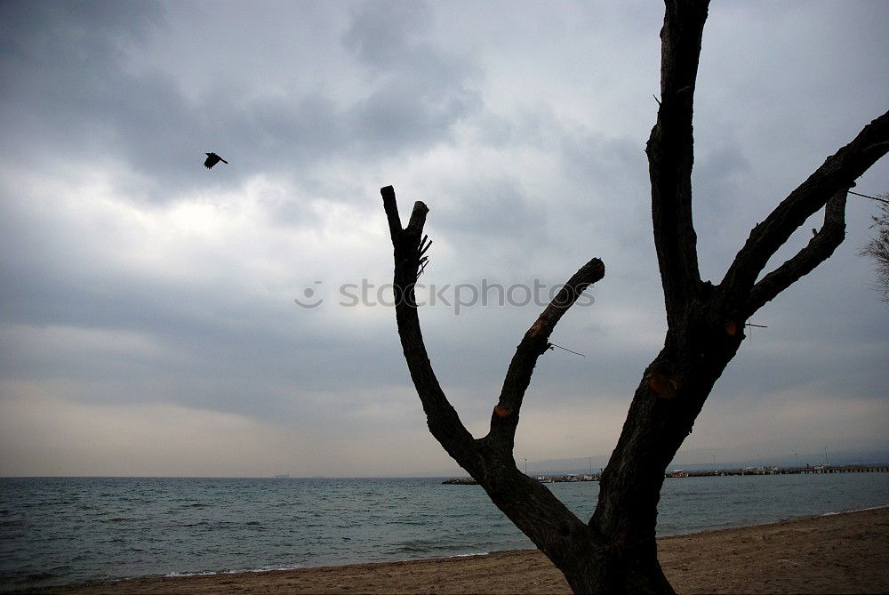 Similar – Image, Stock Photo San Francisco Idyll Water