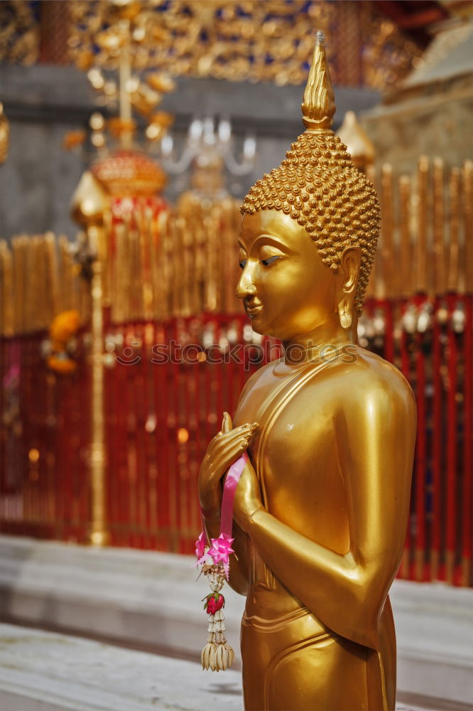 Similar – Image, Stock Photo Temple in Hanoi, Viet Nam