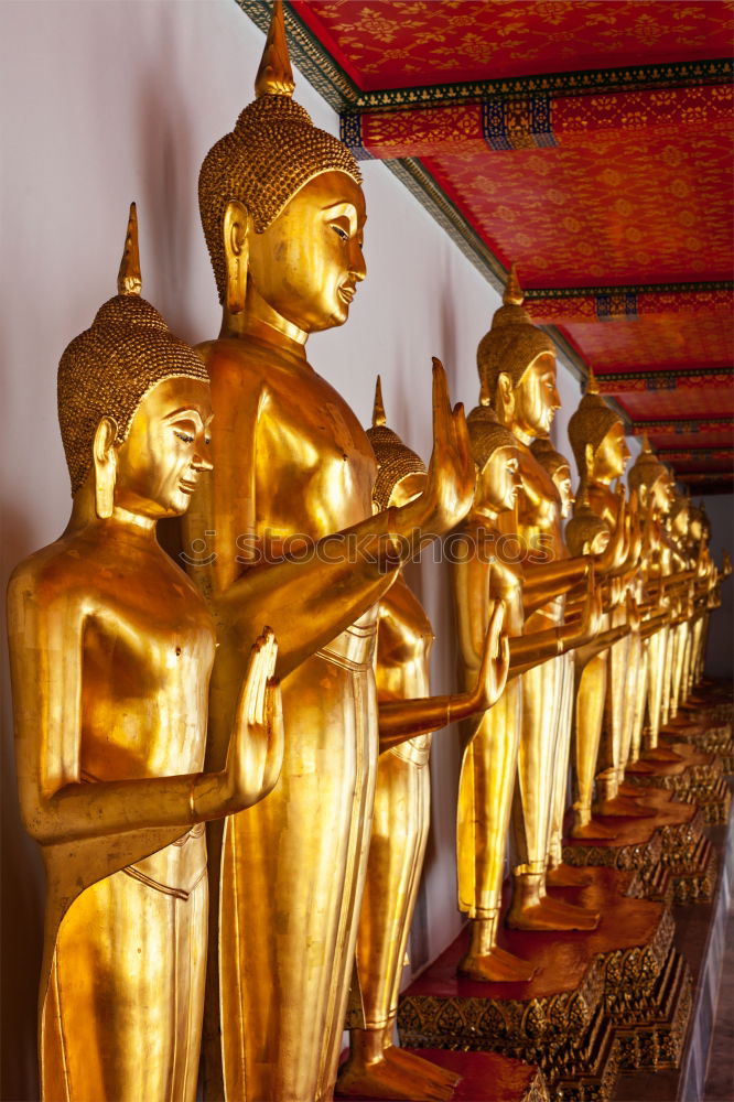 Similar – Image, Stock Photo golden statues in 1000 Buddhas Temple in Hong Kong.