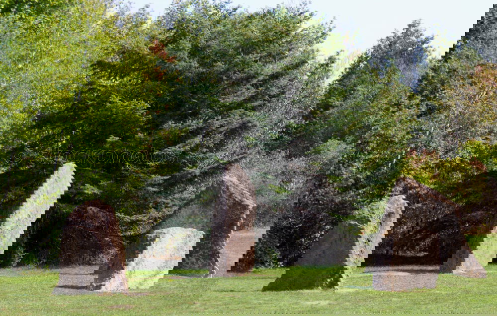 Similar – Foto Bild trees Kunst Baum