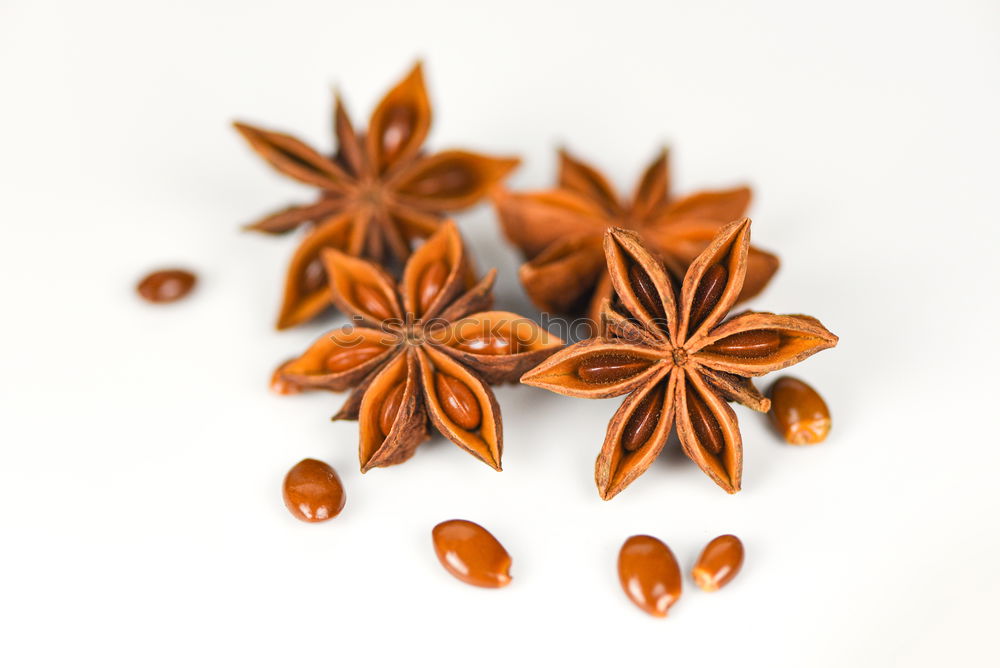 Cinnamon and star anise