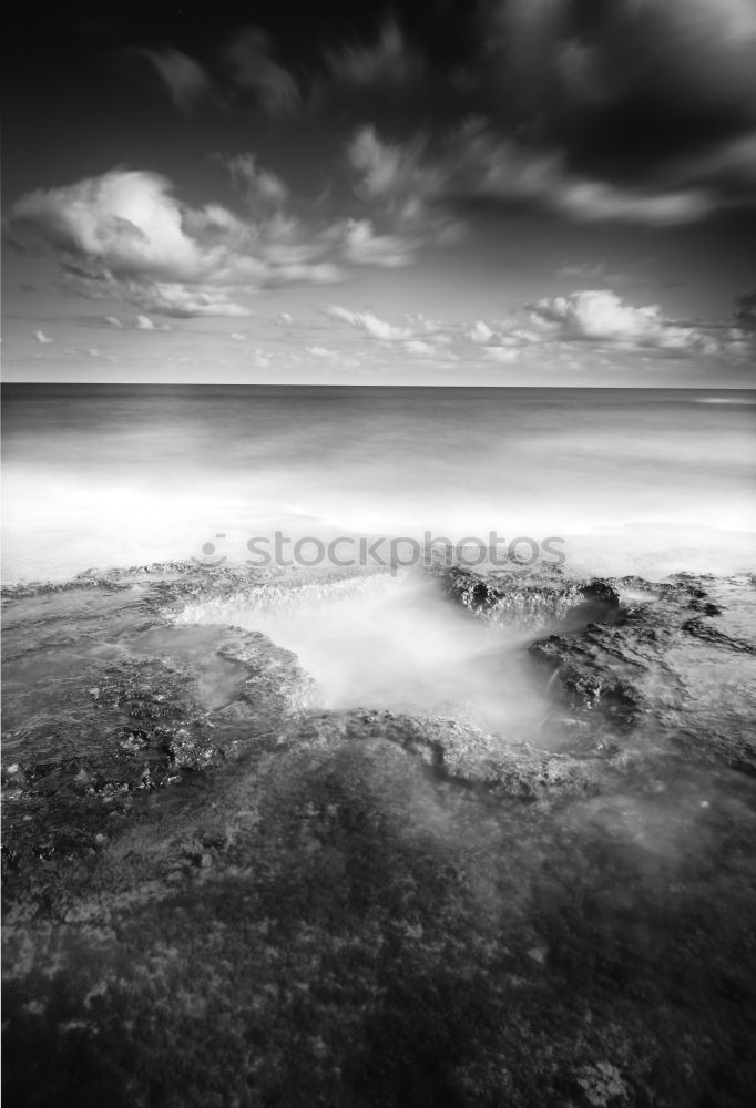 Similar – Image, Stock Photo Driftwood on the coast of the Baltic Sea