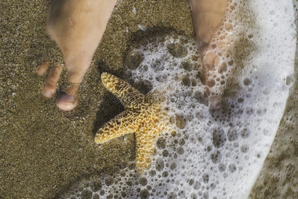 Similar – Starfish and feet on the beach