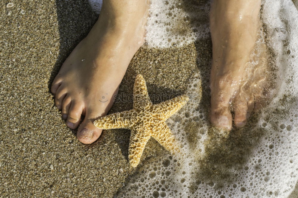 Similar – Starfish and feet on the beach