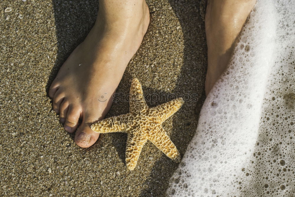 Starfish and feet on the beach