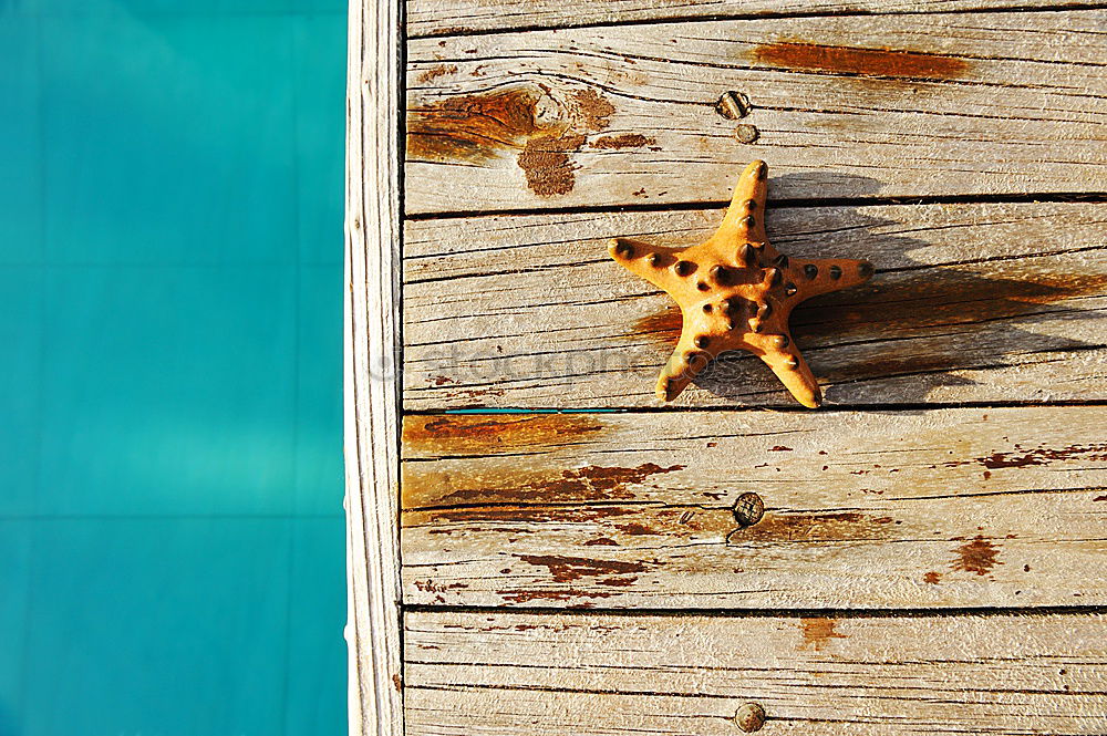 Similar – Foto Bild snail on board
