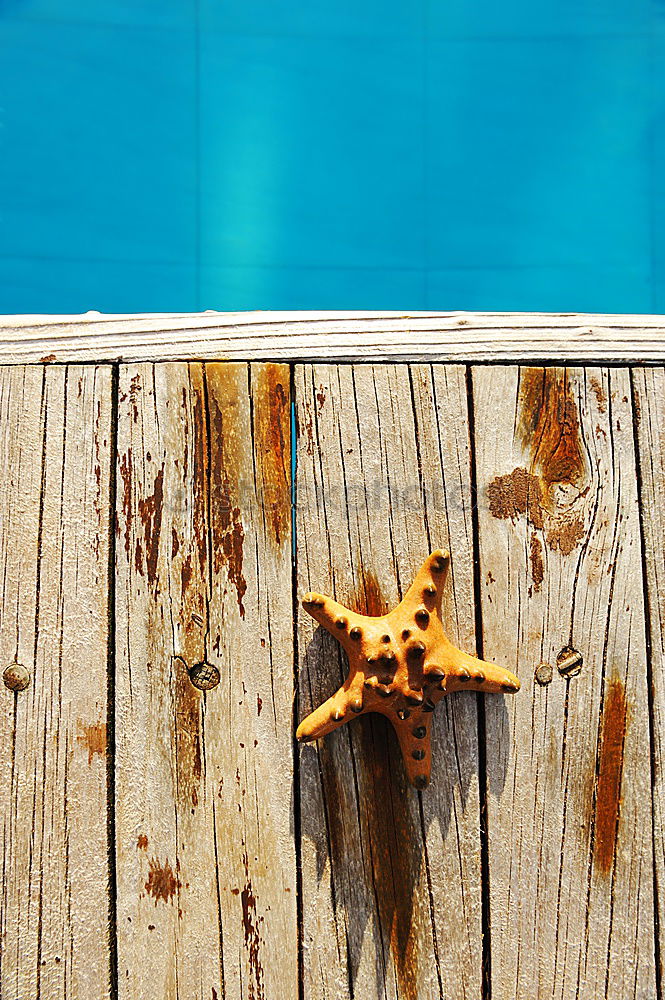 Similar – Image, Stock Photo swimming pool staircase