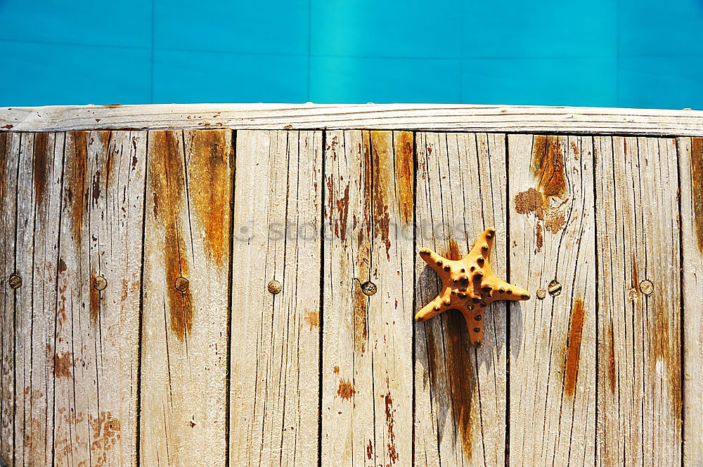 Similar – Image, Stock Photo swimming pool staircase