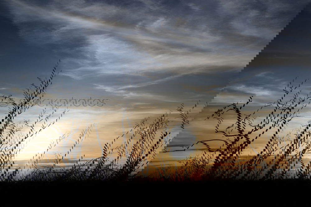 Similar – Foto Bild Endegelände Umwelt