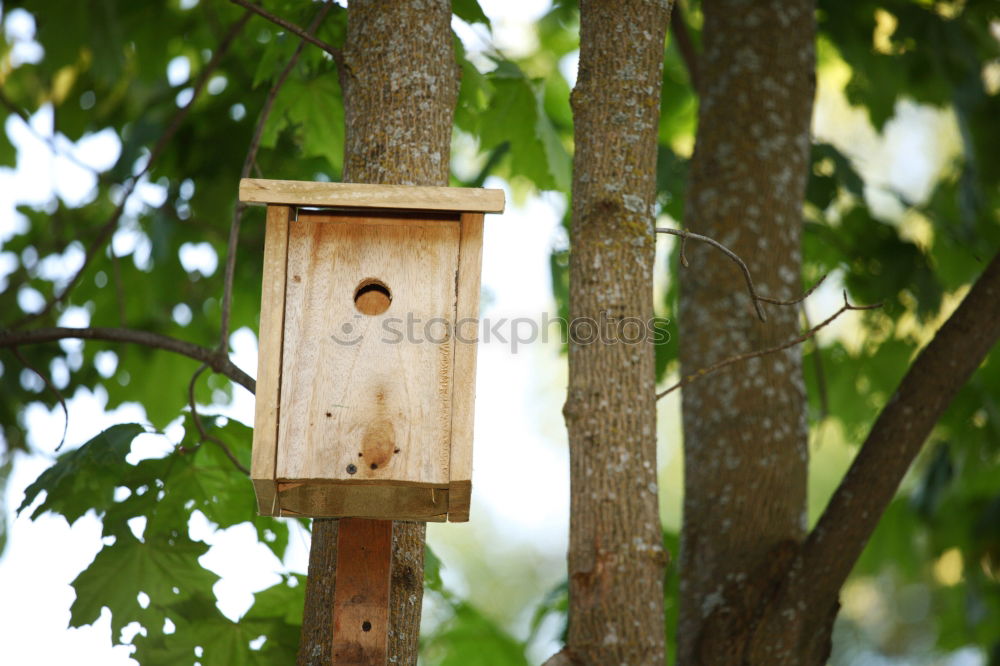 Similar – Image, Stock Photo bird house