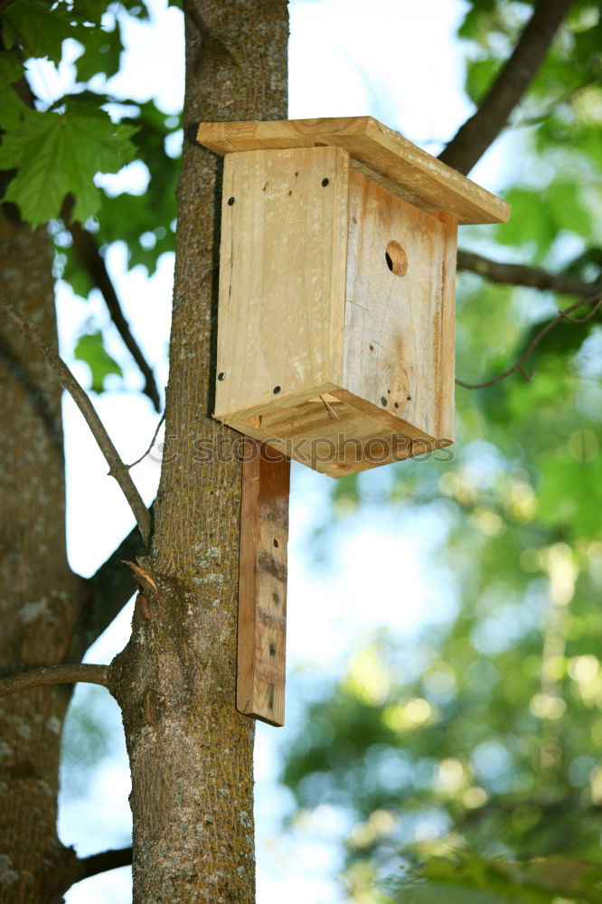 Similar – Image, Stock Photo bird house