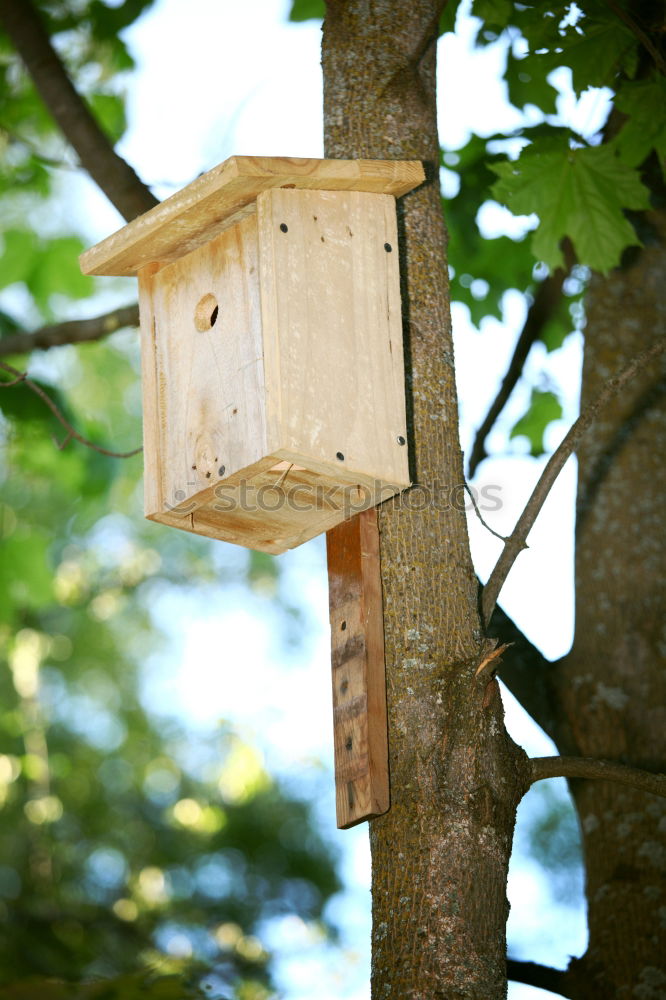 Similar – Image, Stock Photo Homemade birdhouse for the winter made of old grey wood at the edge of the forest on a farm in Rudersau near Rottenbuch in the district of Weilheim-Schongau in Upper Bavaria