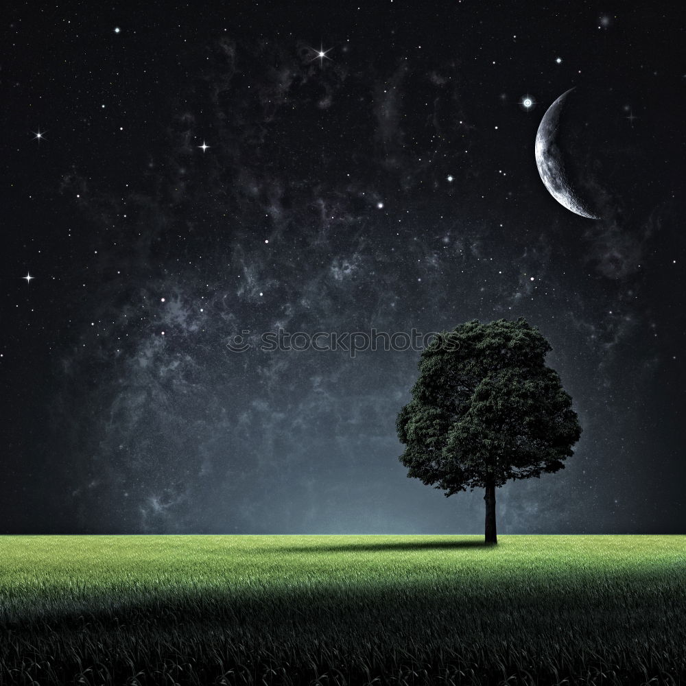 Similar – Image, Stock Photo cross Tree Night Dark