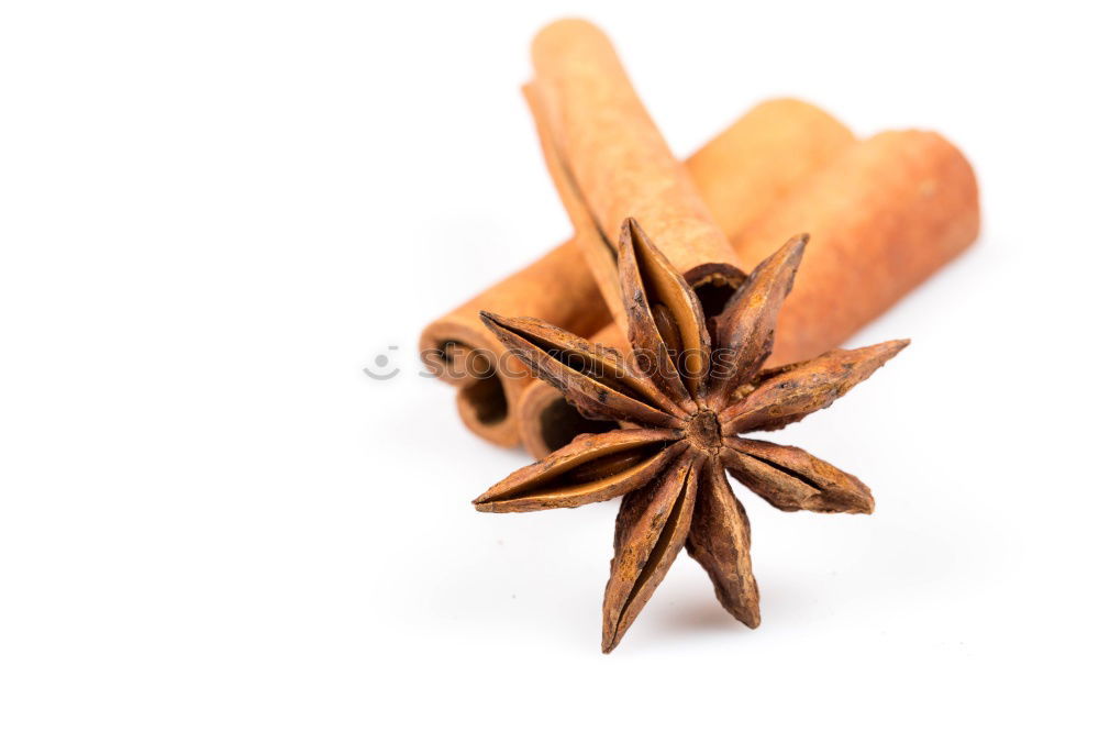 Similar – Image, Stock Photo starfish Starfish Ocean