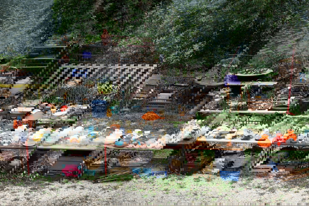 Similar – Foto Bild Höllische Auswahl Nonne