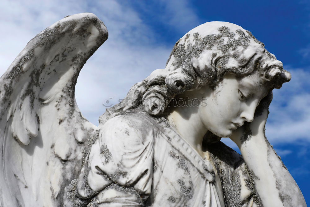 Similar – bereavement Statue Grief