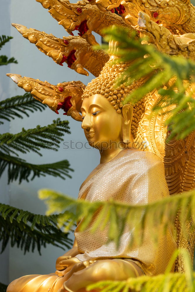 Similar – Temple in Hong Kong