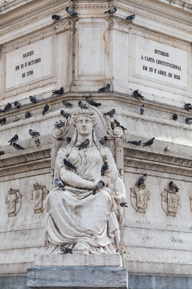 Similar – Arc de Triomp with elements of sculptures designed by Jean Chalgrin in 1806 on the Place de Gaulle in Paris, France