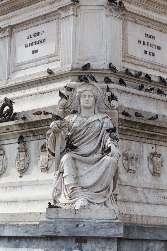 Similar – Arc de Triomp with elements of sculptures designed by Jean Chalgrin in 1806 on the Place de Gaulle in Paris, France