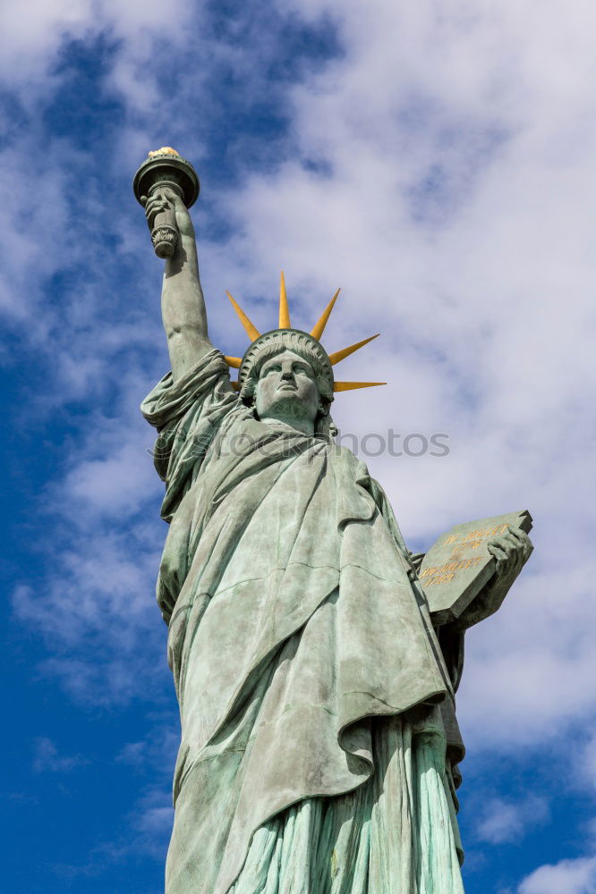 Similar – Image, Stock Photo freedom New York City USA