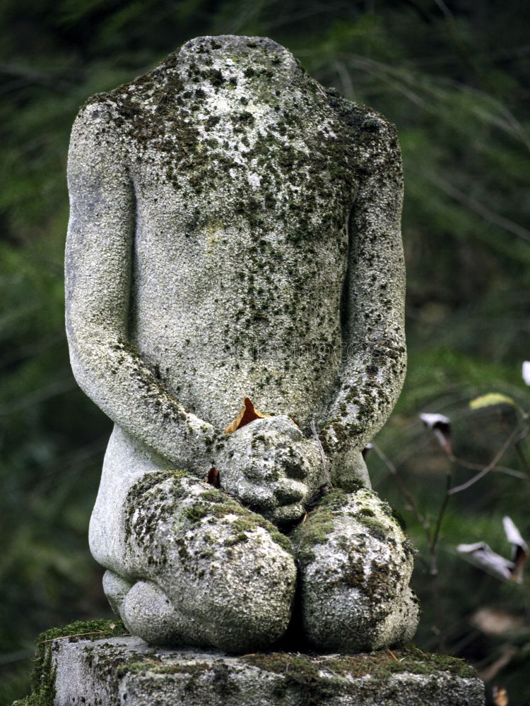 Similar – Small Buddha sitting on the root of a mighty oak tree